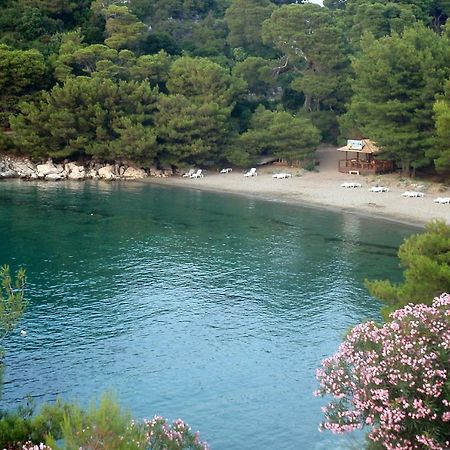 Apartments By The Sea Cove Blaca, Mljet - 4899 サプルナラ エクステリア 写真