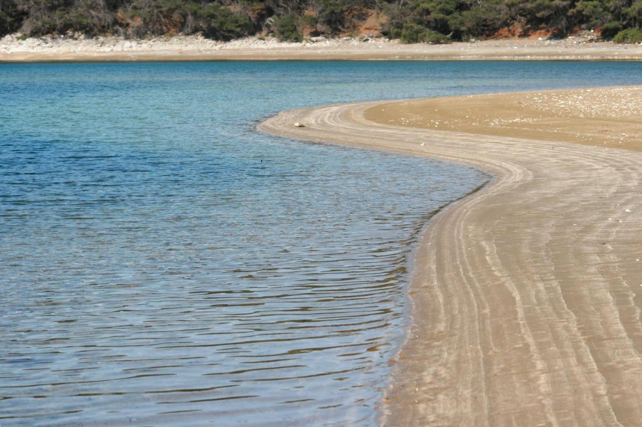 Apartments By The Sea Cove Blaca, Mljet - 4899 サプルナラ エクステリア 写真