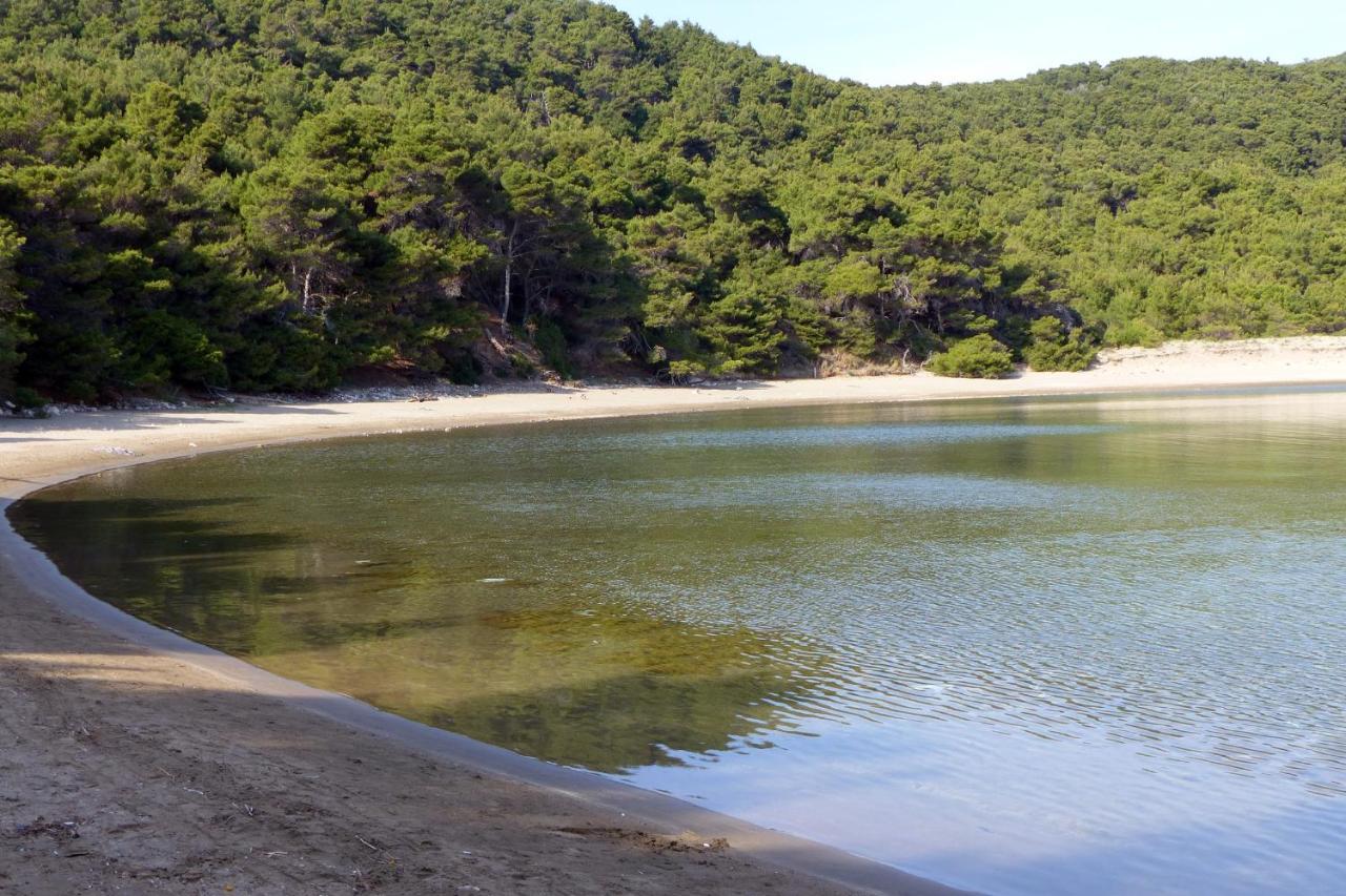 Apartments By The Sea Cove Blaca, Mljet - 4899 サプルナラ エクステリア 写真