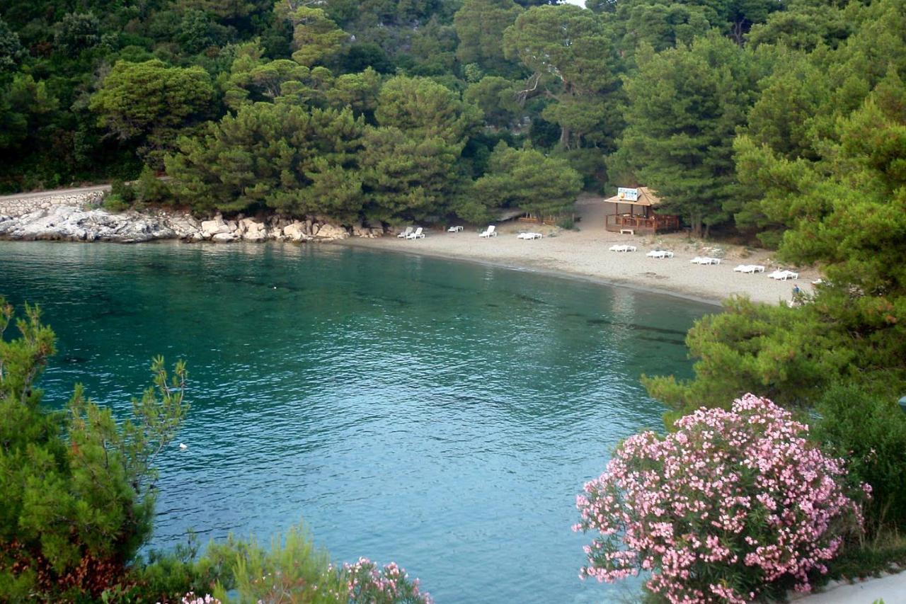 Apartments By The Sea Cove Blaca, Mljet - 4899 サプルナラ エクステリア 写真