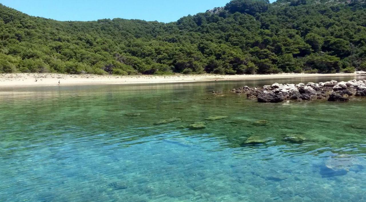Apartments By The Sea Cove Blaca, Mljet - 4899 サプルナラ エクステリア 写真